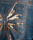 Italie Butterfly Jeansjacka Nolita - bild 10